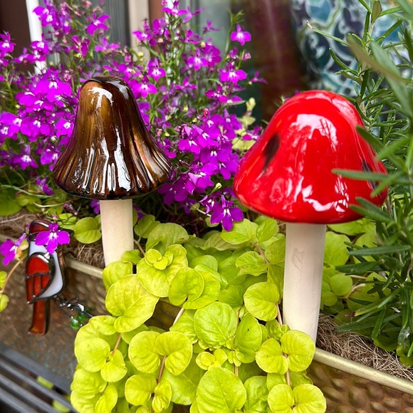 MUSHROOMS CERAMIC & GLAZED WITH ATTENTION TO DETAIL HANDCRAFTED FOR FLOWERBOX - Picture 2 of 8